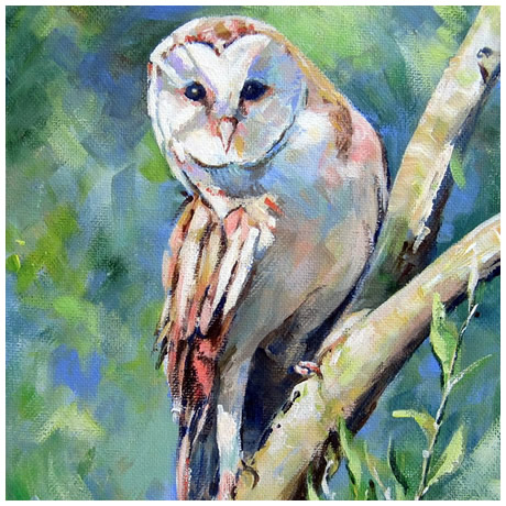 Watching You - the Owl - Acrylic