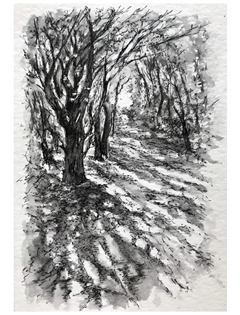 'Pools of Light' - A5 - Pen and wash
