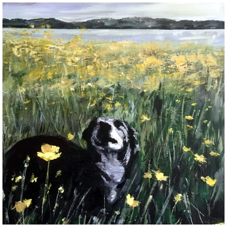 'A Rest in the Buttercups' - 24x20in - Acrylic