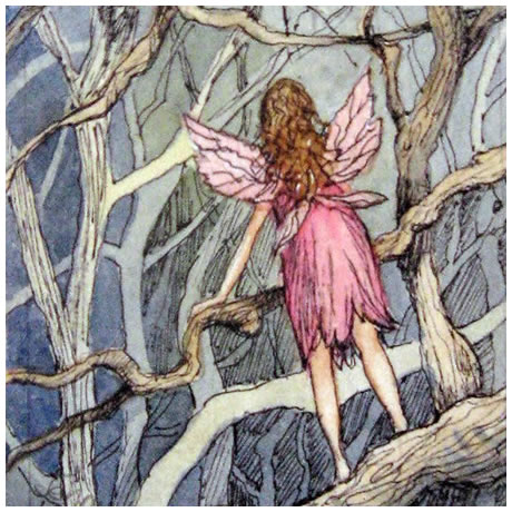 Woodland Fairy - Watercolour & pen