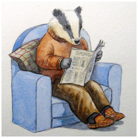 Mr Badger - Watercolour & coloured pencil